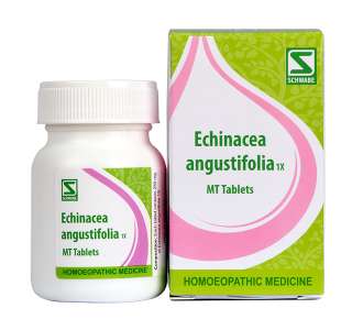 Willmar Schwabe India Echinacea Angustifolia 1X Tablets (20g)